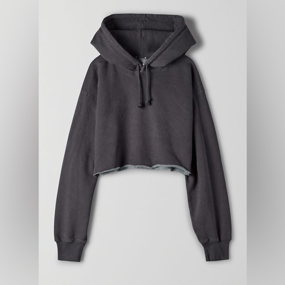 Aritzia Tna Cozy Fleece Boyfriend Cropped Hoodie
